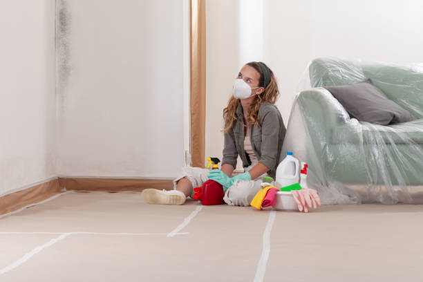 Reliable Commercial Mold Remediation contractor in Everett, WA by Car Mold Remediation