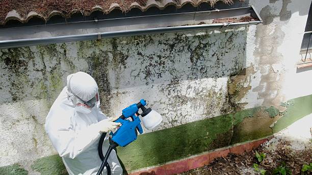 Top rated local Commercial Mold Remediation specialists in Everett, WA